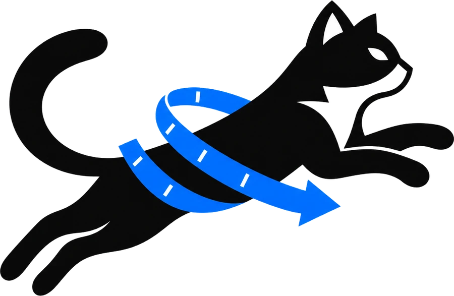 PounceFit: a black cat leaping, with a blue measuring tape around its body